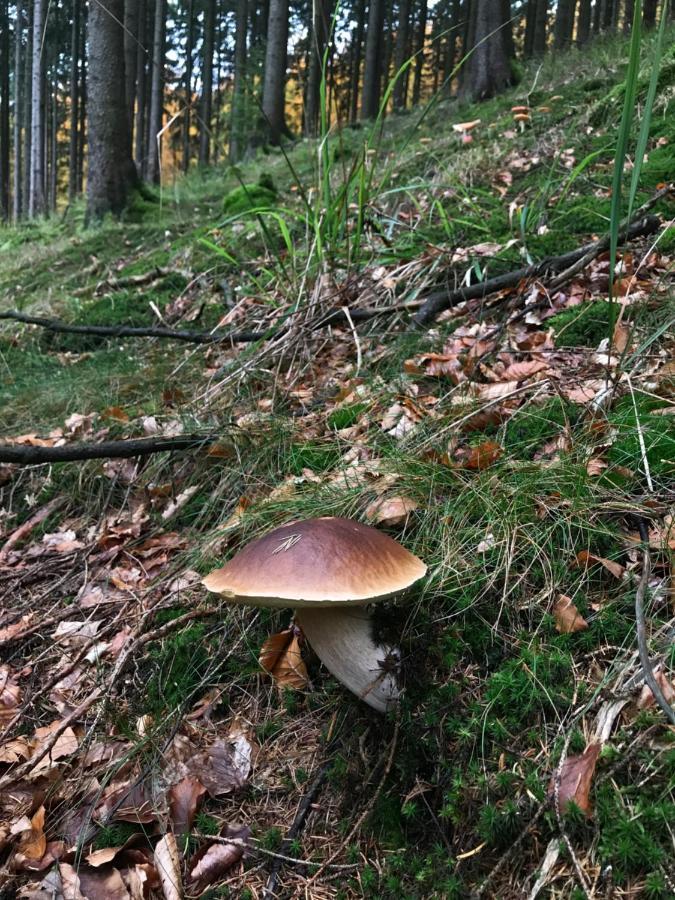 Landhaus Silbach Winterberg Eksteriør bilde