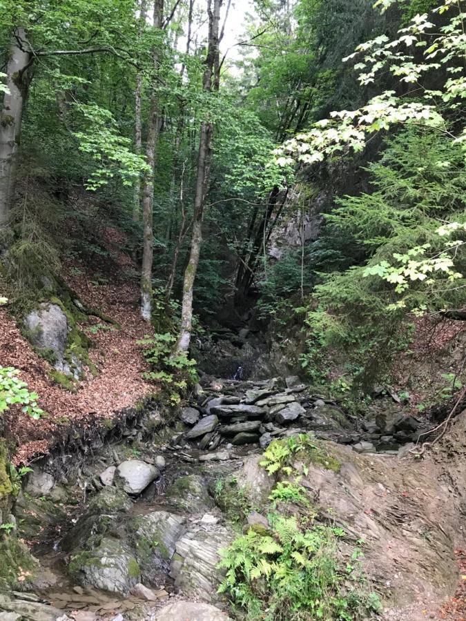 Landhaus Silbach Winterberg Eksteriør bilde