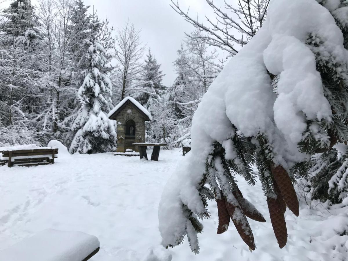 Landhaus Silbach Winterberg Eksteriør bilde